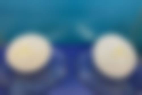 韩瑞技术水平评价