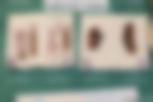 西宁妤柏颜医疗美容核心项目