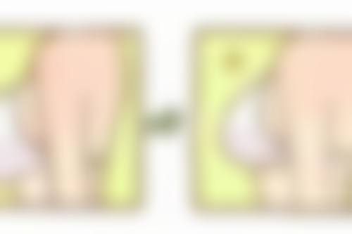 襄阳市中 心医院(整形外科)核心项目