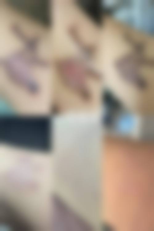 刘海鹰技术水平评价