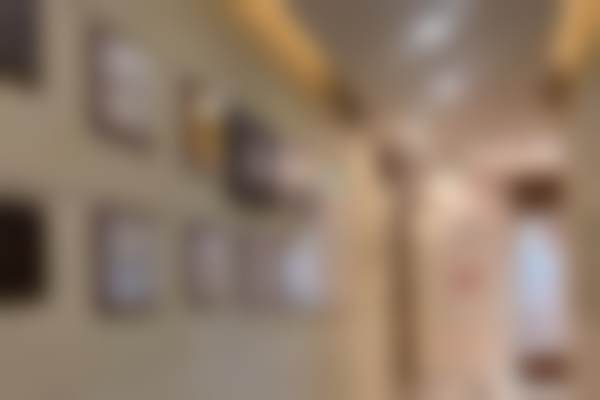 金奇龙预约方式及价格表