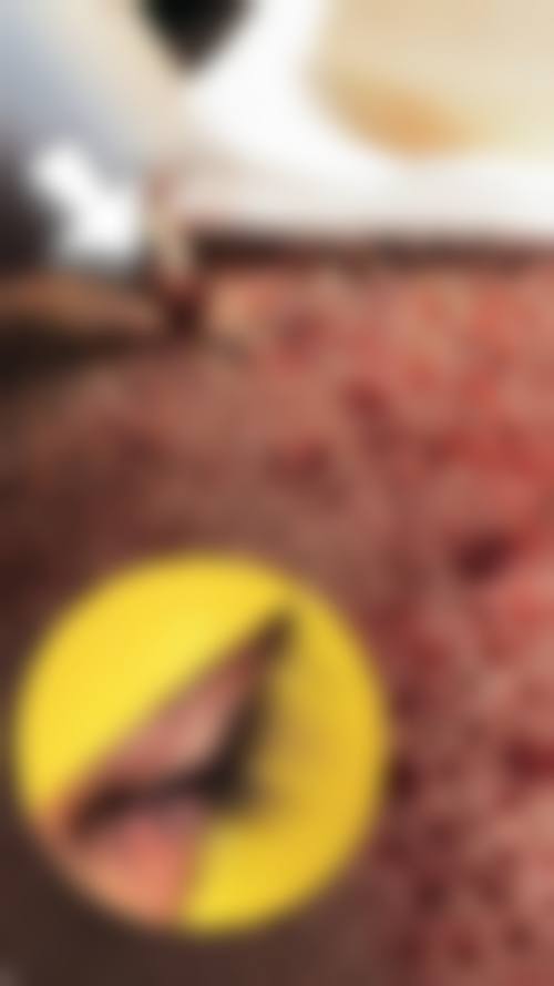 八户Rize Clinic医生团队