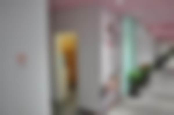 胡宝红技术水平评价