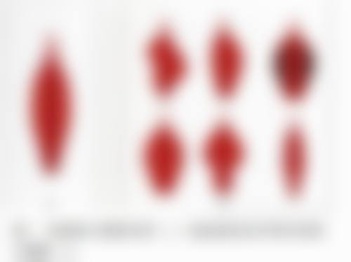 吕建萍擅长项目列表