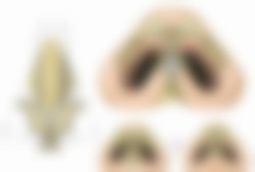 济南金玉红医疗整形美容诊所患者评价