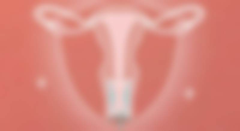 郑义刚擅长项目列表