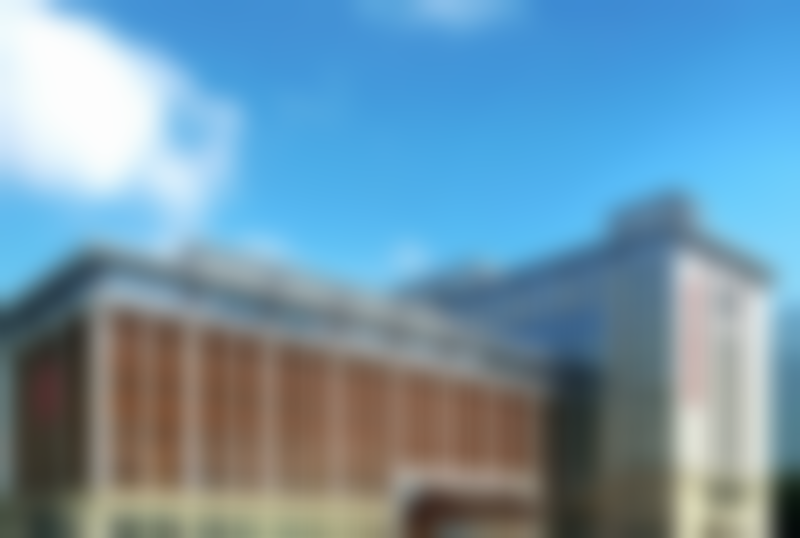 于晓云技术水平评价