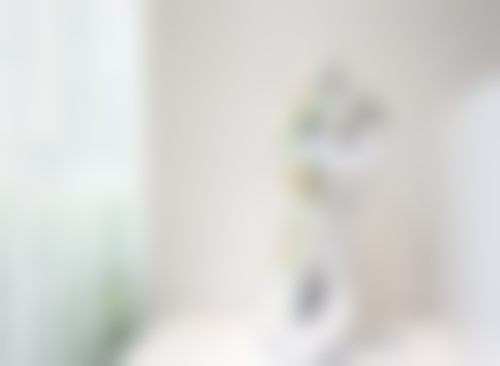 北京小芙医疗美容诊所医生团队