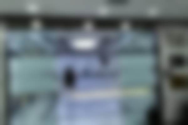 庄姚姿擅长项目列表