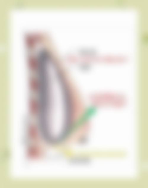 资阳市第一人民医院烧伤整形科核心项目