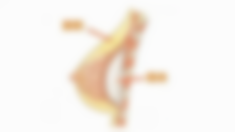 韩国江南琼(june)整形外科交通路线及预约