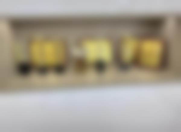 郝立君技术水平评价