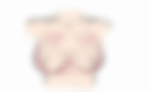 成都锦江艺彩医疗美容诊所核心项目