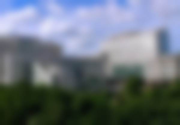 罗林技术水平评价