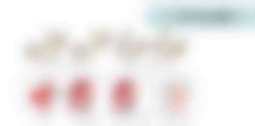 刘月明擅长项目列表