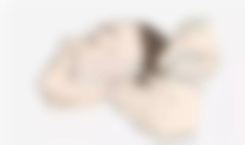 张中原技术水平评价