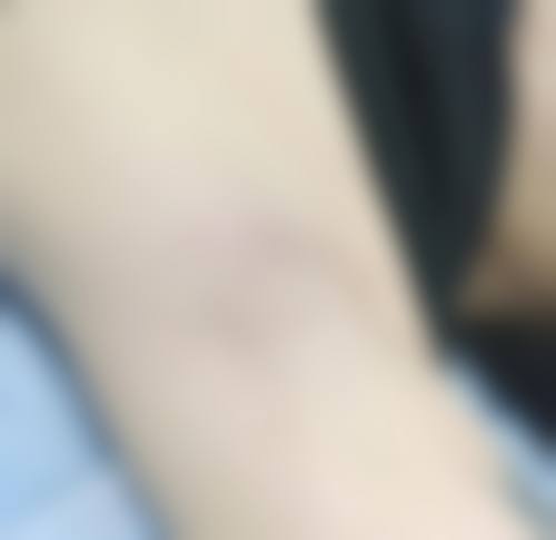 白晋擅长项目列表