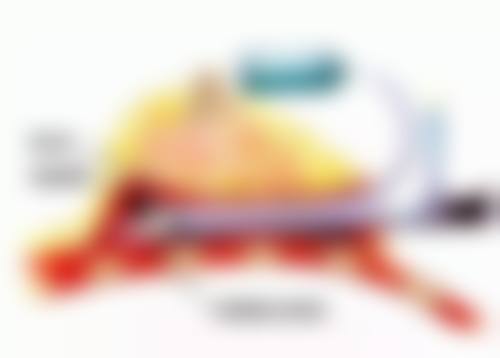 【濮阳容美集医疗美容门诊部交通路线及预约方式】