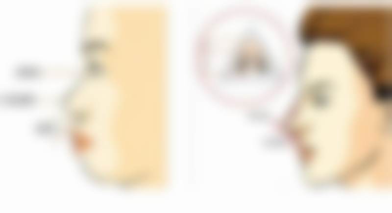 程飞预约方式及价格表