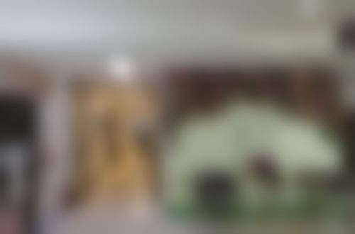 周于晴擅长项目列表