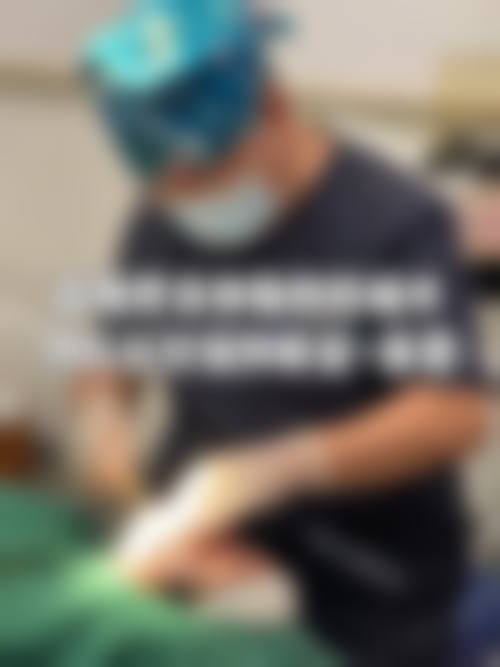 夏彩虹预约方式及价格表