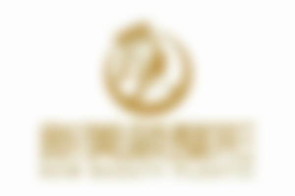 杨智勇擅长项目列表