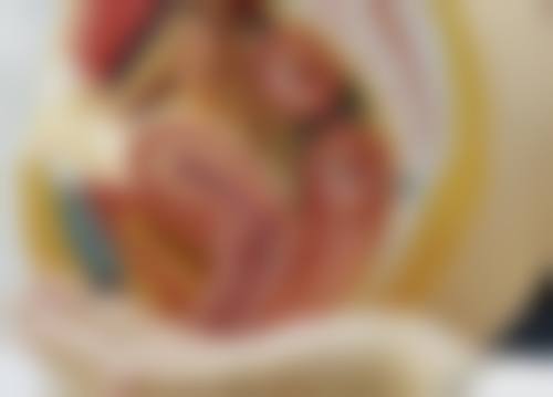 【五、张家港第一人民医院烧伤整形科交通路线指南与预约挂号流程】