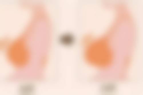 叶兰技术水平评价