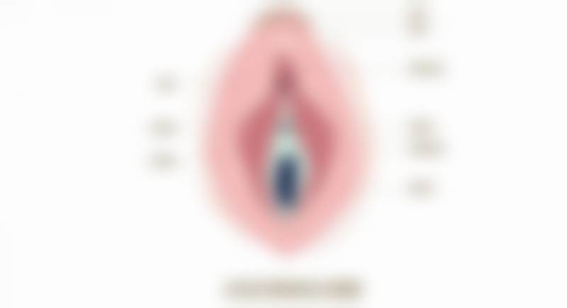 张二伟技术水平评价