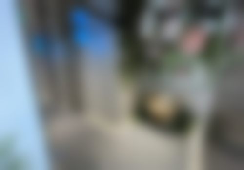 孙宝东技术水平评价