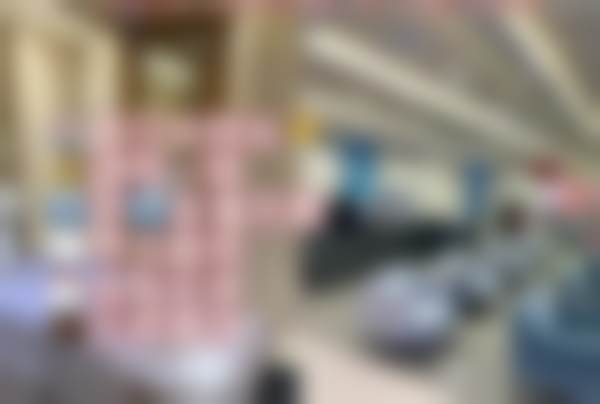 擅长项目及技术特色