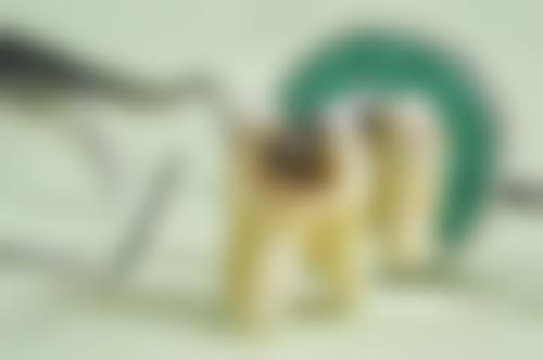 盐津中科口腔诊所门诊营业时间与预约指南