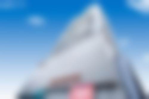 擅长项目及技术特色