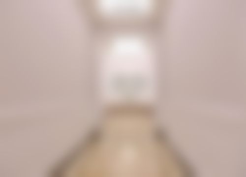 徐伟成医生技术优势与擅长项目解析