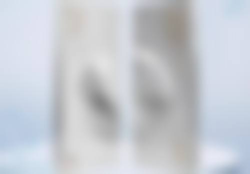 项目价格参考