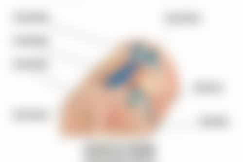 上海交通大学医学附属瑞金医院整形科医院地址交通