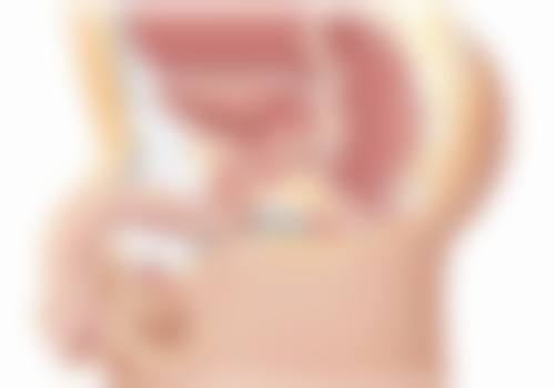 咸阳美好齿科诊所常见问题FAQ