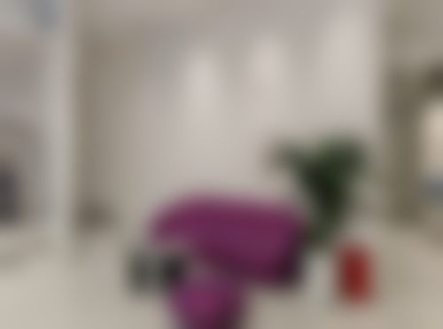 擅长项目及技术特色